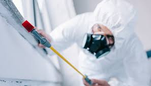 Best Commercial Pest Control  in Excelsior, MN